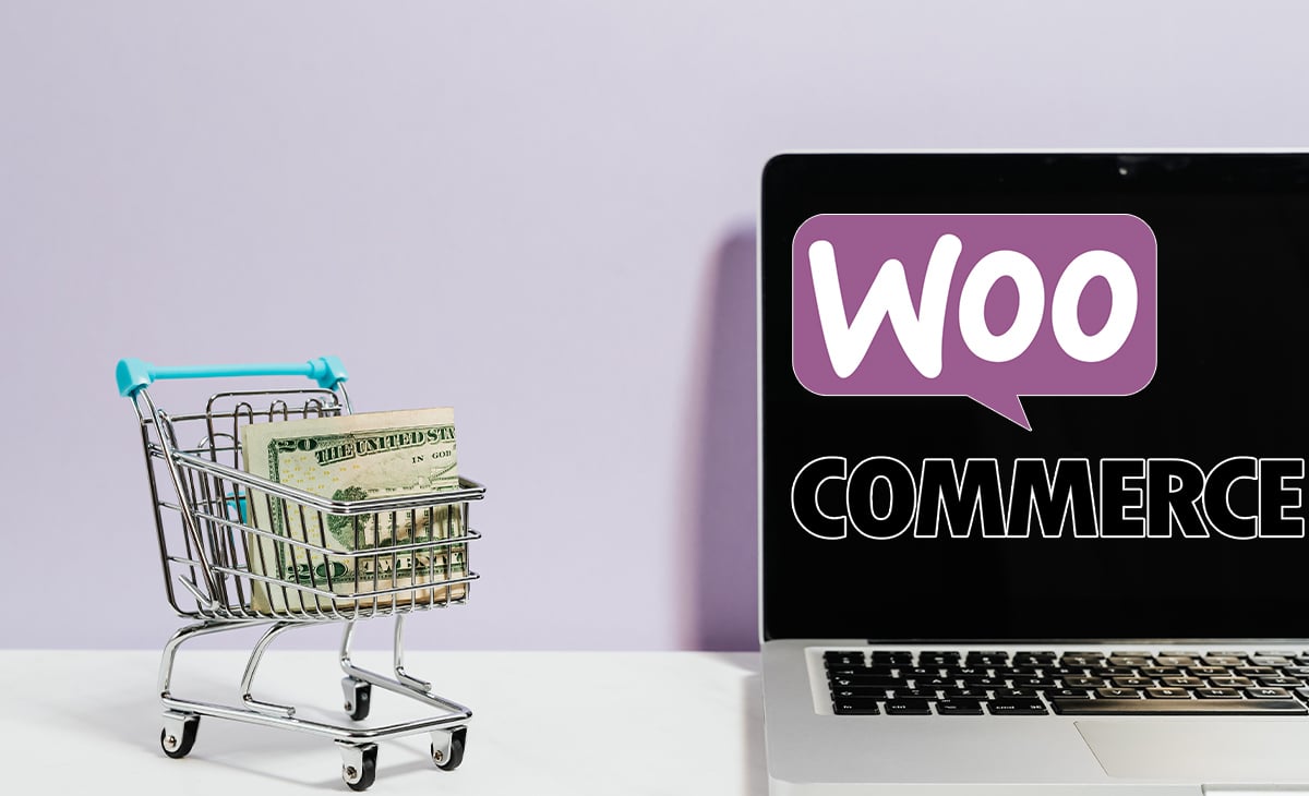 How to Pick the Right WooCommerce Theme