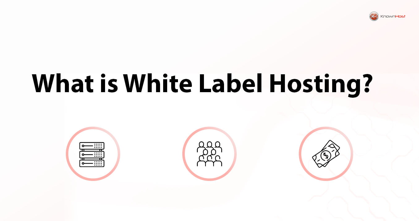 what-is-white-label-web-hosting-flatrocksoft